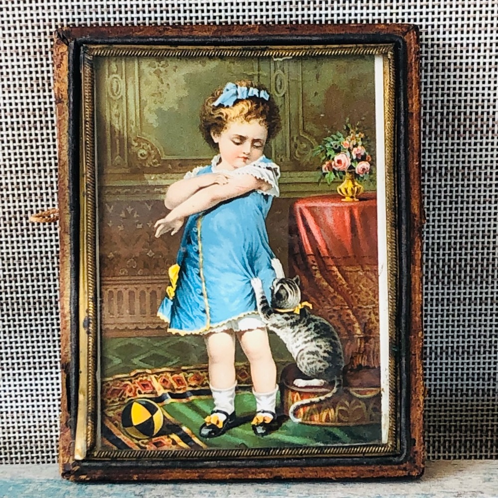 RARE 1880’s Antique Miniature Framed VICTORIAN TRADE CARD JAYNE'S TONIC Girl Cat